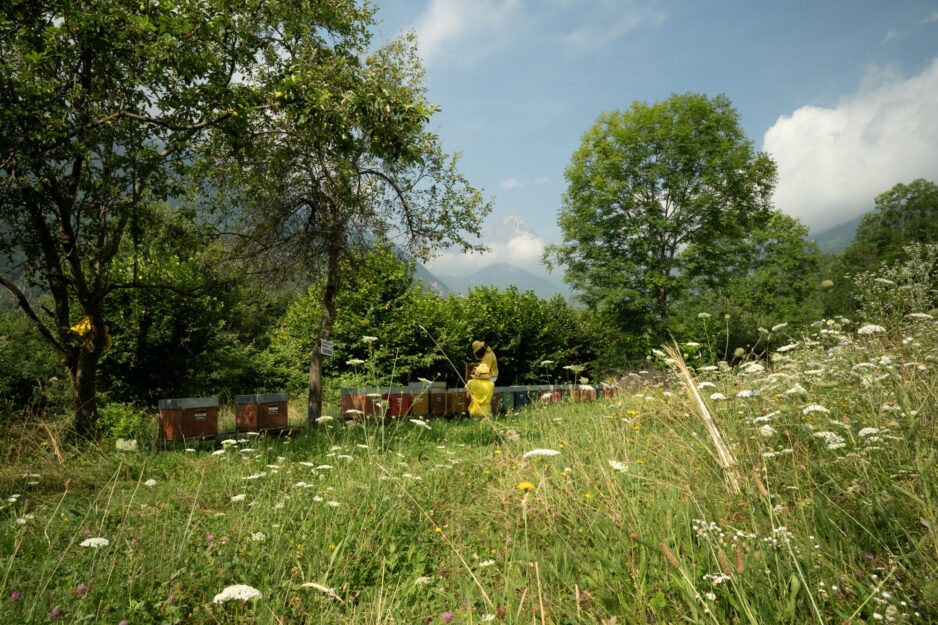 Il tuo territorio, VIVO PERCHÉ VARIO. L’impegno del GAL Tradizione delle Terre Occitane